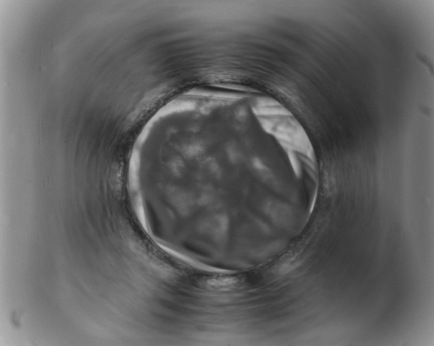 X0000103290357200809122012