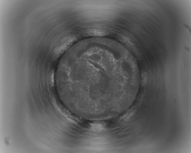 X0000103290358200809122012