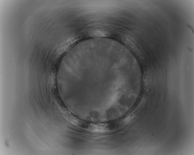 X0000103290359200809122012