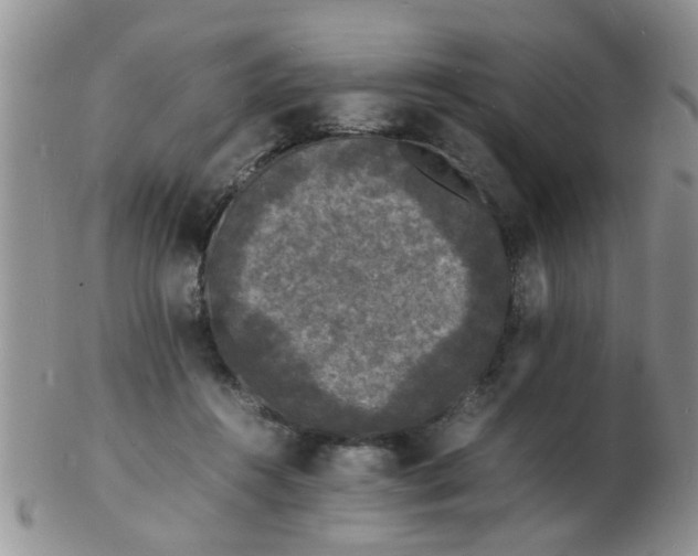 X0000103290360200809122012