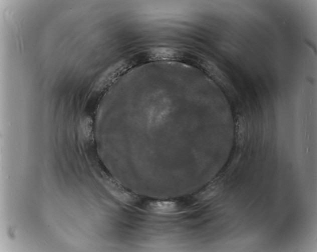 X0000103290361200809122012