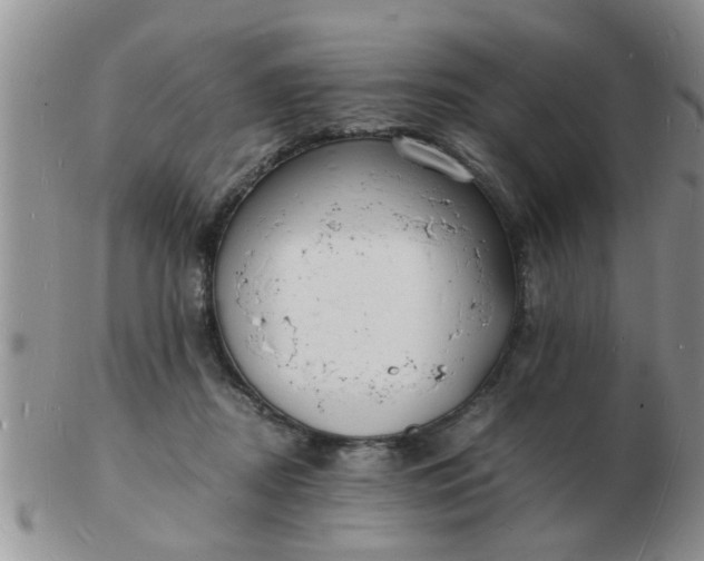 X0000103290362200809122013