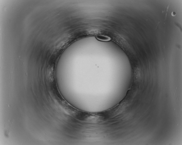 X0000103290364200809122013