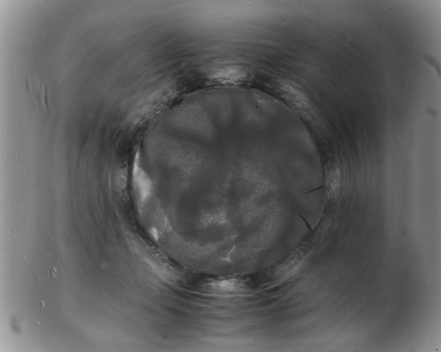 X0000103290365200809122013