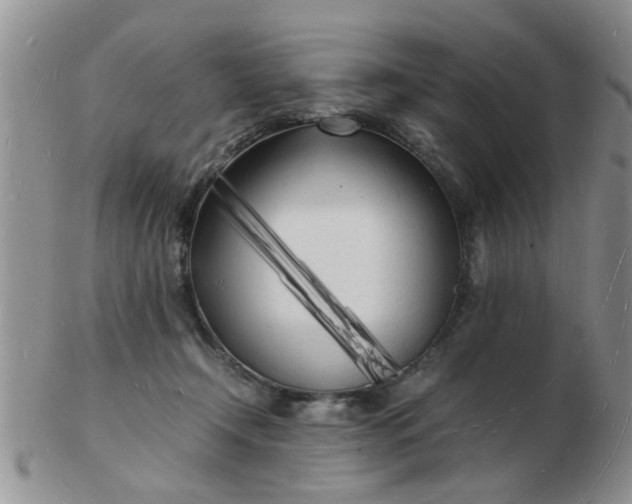 X0000103290366200809122013