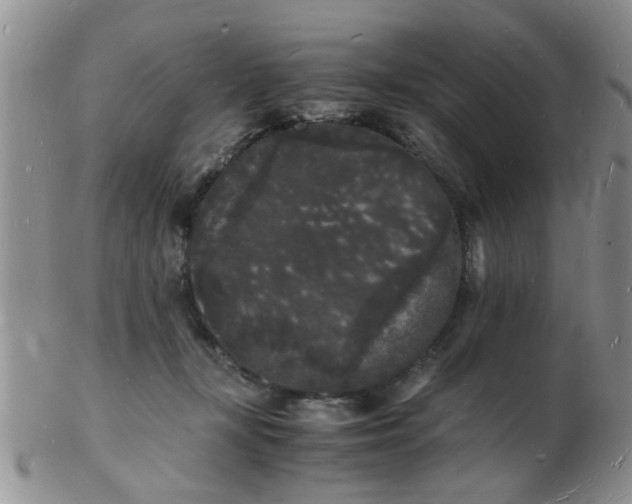 X0000103290367200809122013