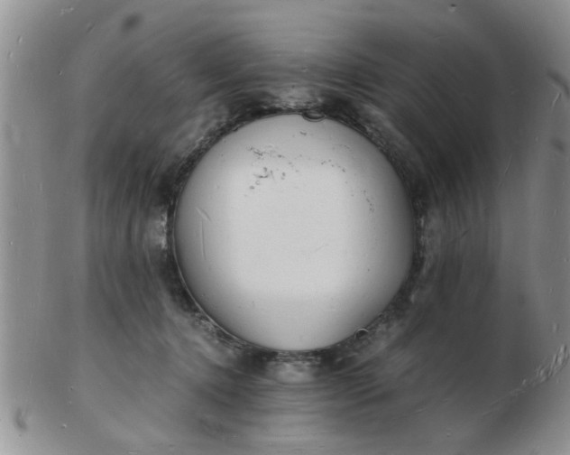 X0000103290368200809122013