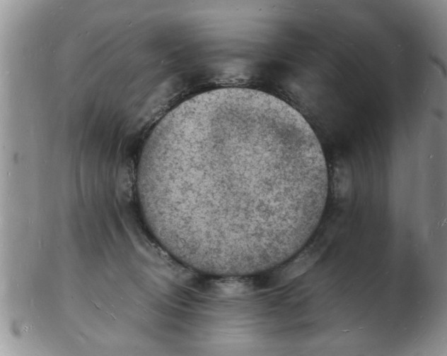 X0000103290370200809122013