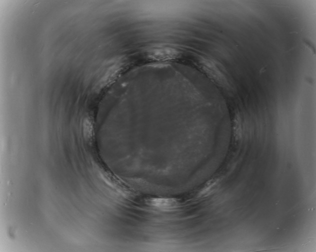 X0000103290371200809122013