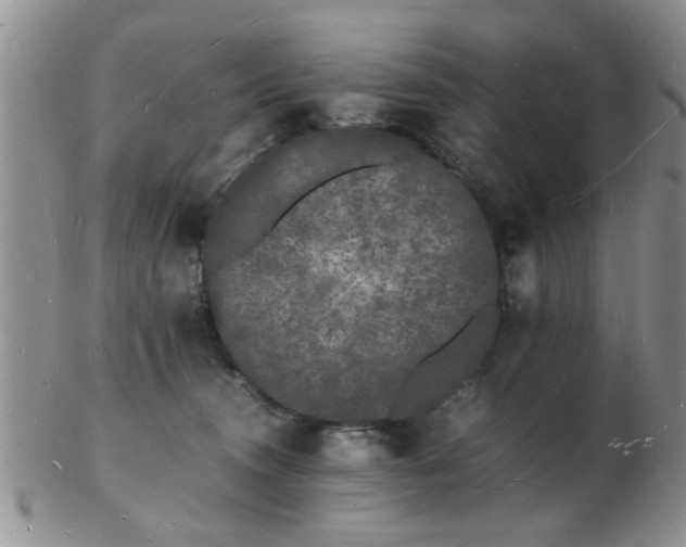 X0000103290372200809122013