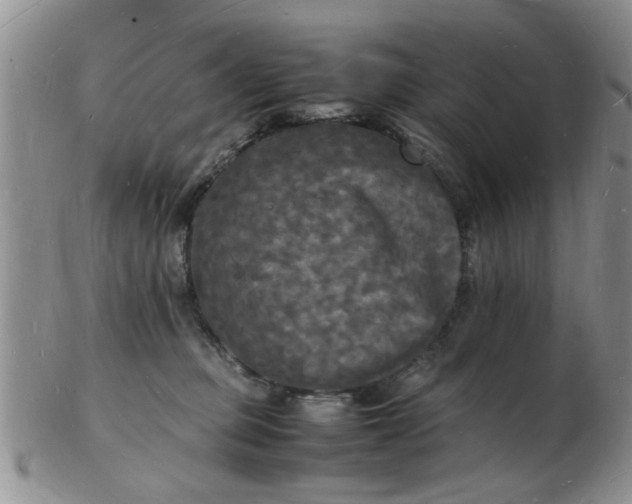 X0000103290373200809122013