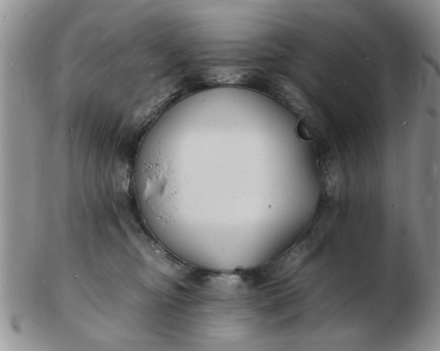 X0000103290374200809122013