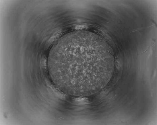 X0000103290375200809122013