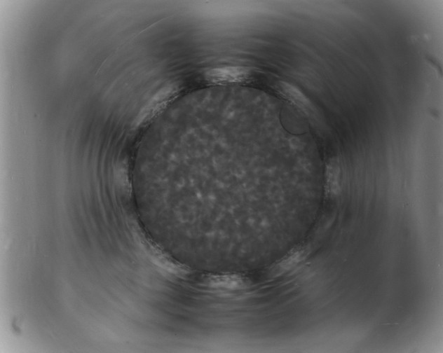 X0000103290377200809122013