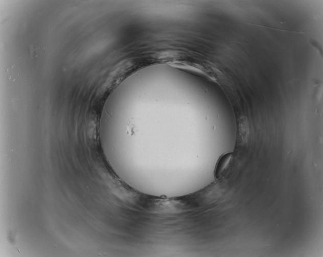 X0000103290379200809122013