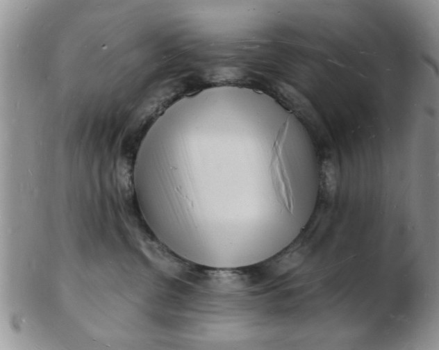 X0000103290380200809122013