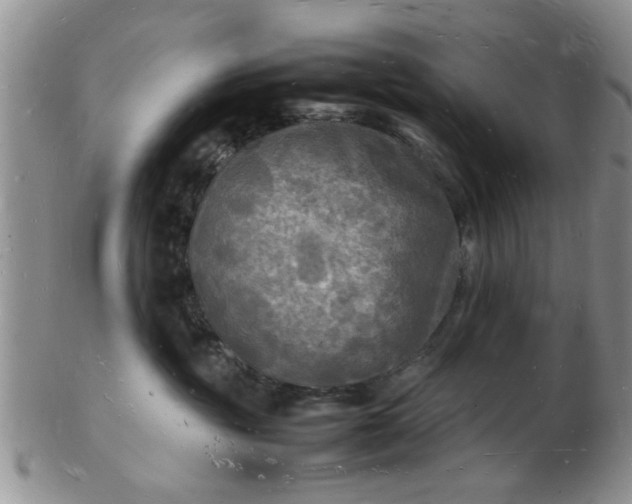 X0000103290381200809122013