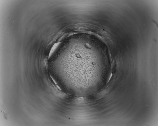 X0000103290382200809122013