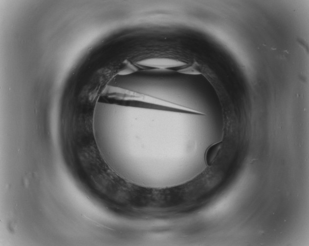 X0000103290383200809122013