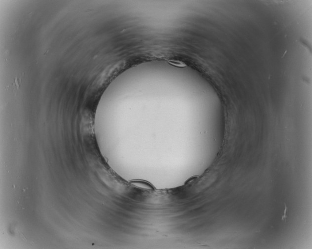 X0000103290384200809122013