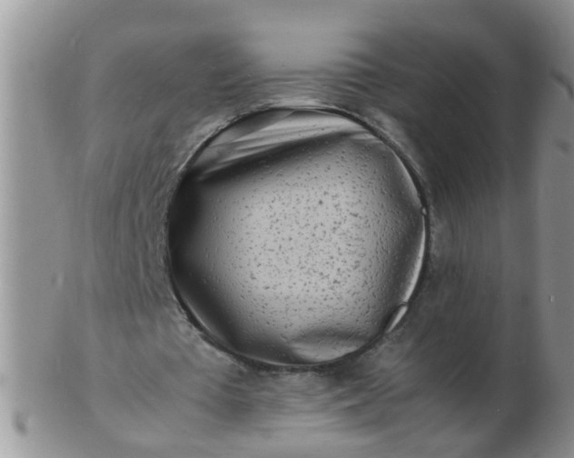 X0000103290385200809122012