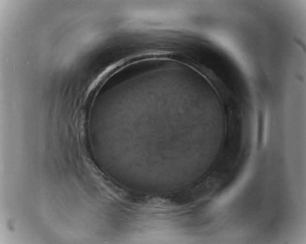 X0000103290387200809122012