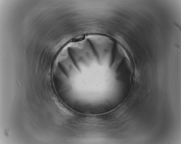 X0000103290389200809122012