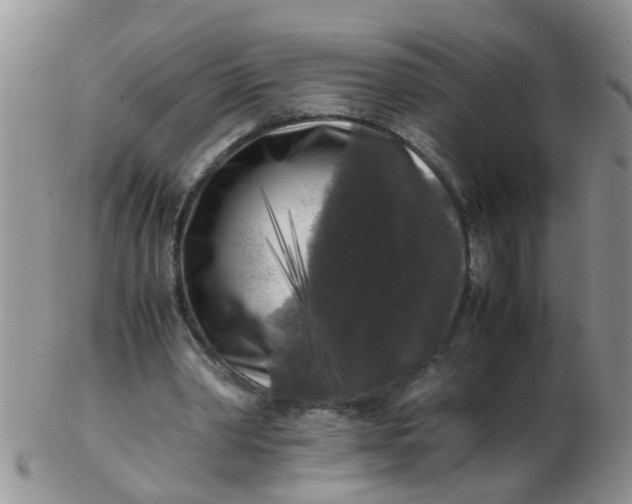 X0000103290390200809122012