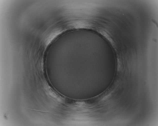 X0000103290391200809122012