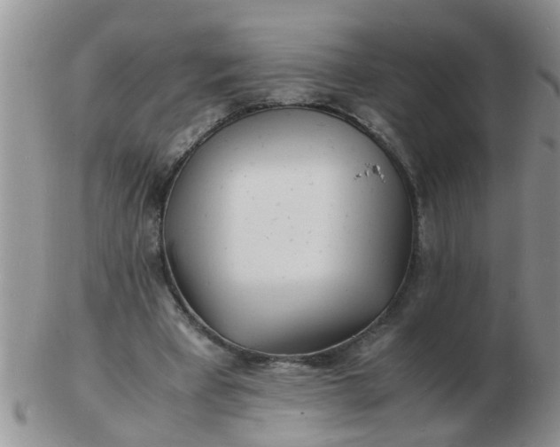 X0000103290393200809122012