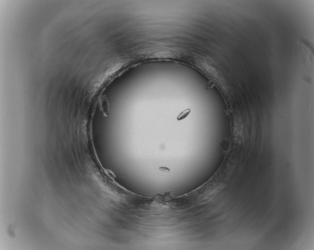 X0000103290394200809122012