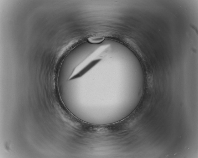 X0000103290395200809122012