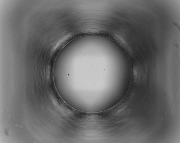 X0000103290396200809122012