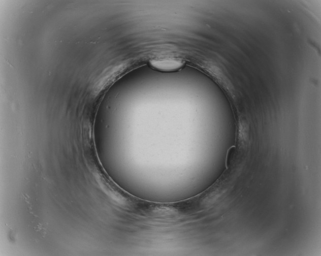 X0000103290397200809122012