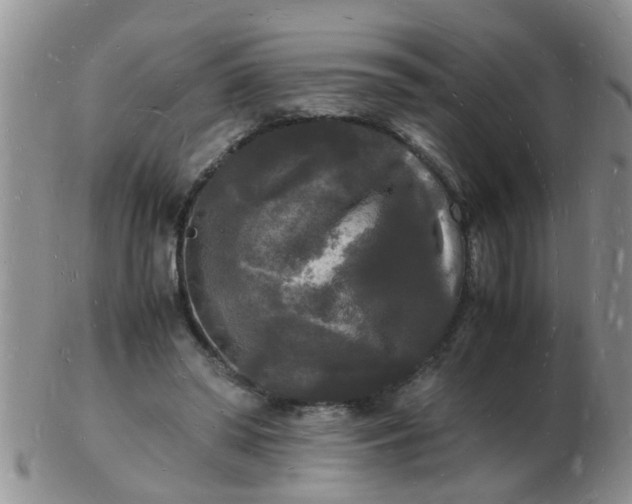 X0000103290398200809122012