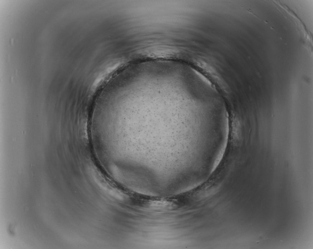 X0000103290399200809122012