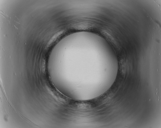 X0000103290400200809122012