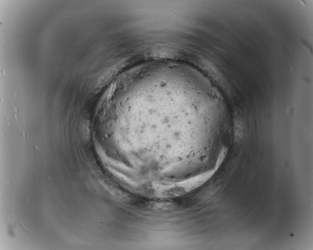 X0000103290401200809122012