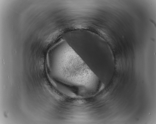 X0000103290402200809122012