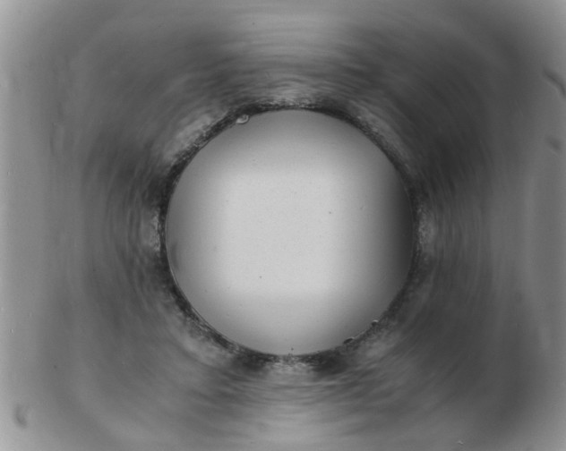 X0000103290403200809122012