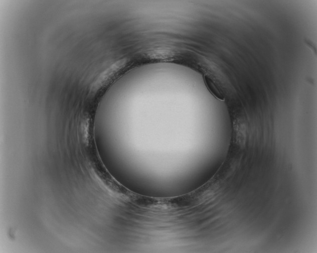 X0000103290404200809122012