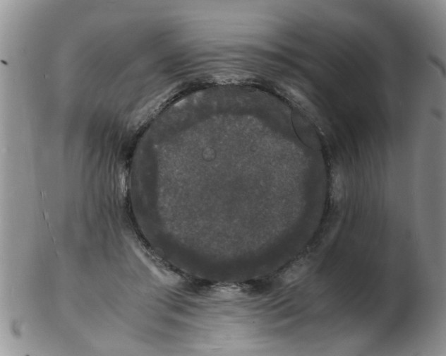 X0000103290405200809122012