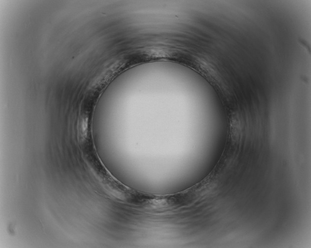 X0000103290406200809122012