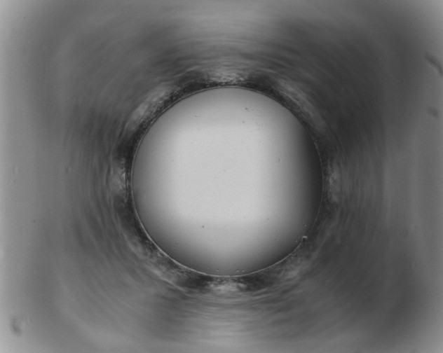 X0000103290407200809122012