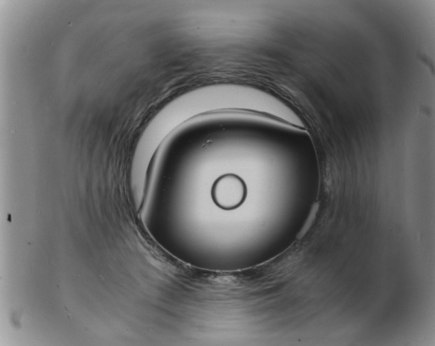 X0000103290409200809122012