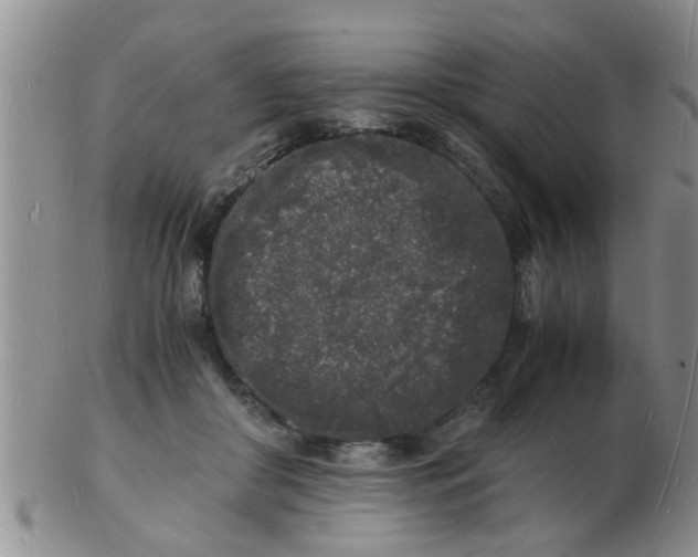 X0000103290410200809122012