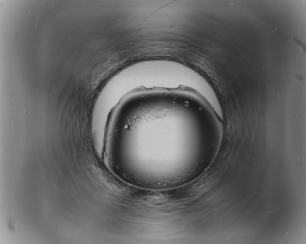 X0000103290411200809122012