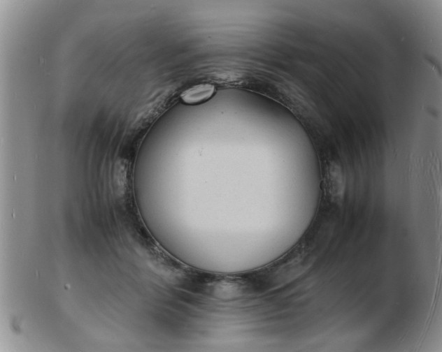 X0000103290412200809122012