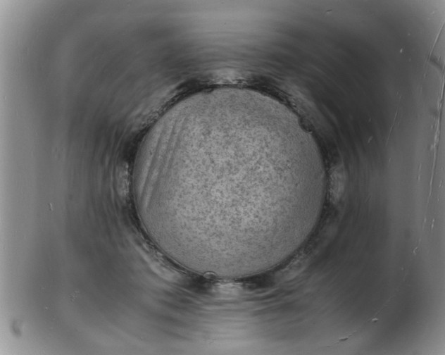 X0000103290413200809122012