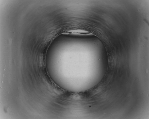 X0000103290416200809122012